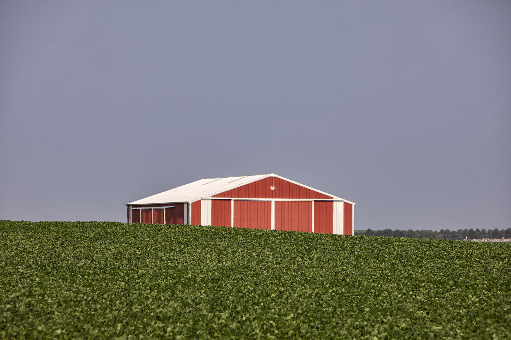 SOYBEAN SIEGE